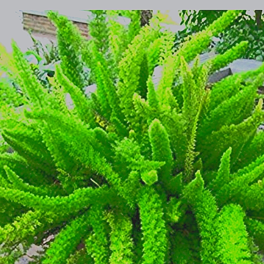 💚💚💚💚